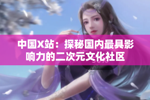 中国X站：探秘国内最具影响力的二次元文化社区