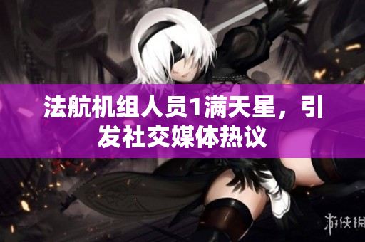 法航机组人员1满天星，引发社交媒体热议