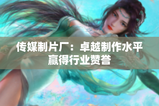 传媒制片厂：卓越制作水平赢得行业赞誉