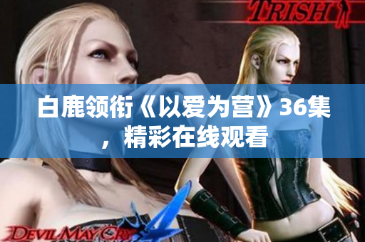 白鹿领衔《以爱为营》36集，精彩在线观看