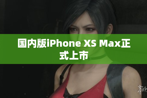 国内版iPhone XS Max正式上市