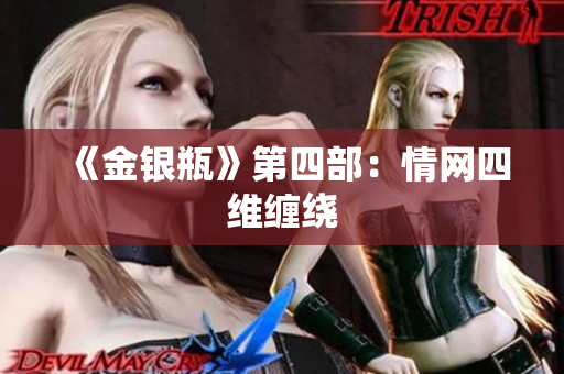 《金银瓶》第四部：情网四维缠绕