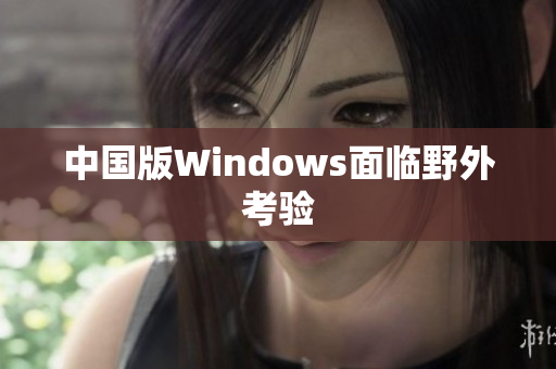 中国版Windows面临野外考验