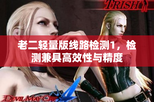 老二轻量版线路检测1，检测兼具高效性与精度