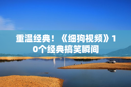 重温经典！《细狗视频》10个经典搞笑瞬间