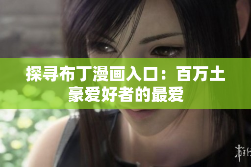 探寻布丁漫画入口：百万土豪爱好者的最爱