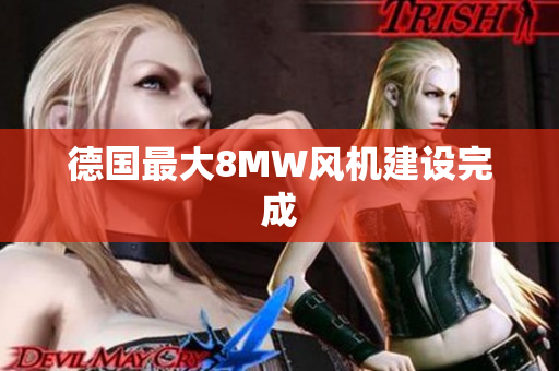 德国最大8MW风机建设完成