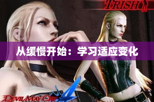 从缓慢开始：学习适应变化