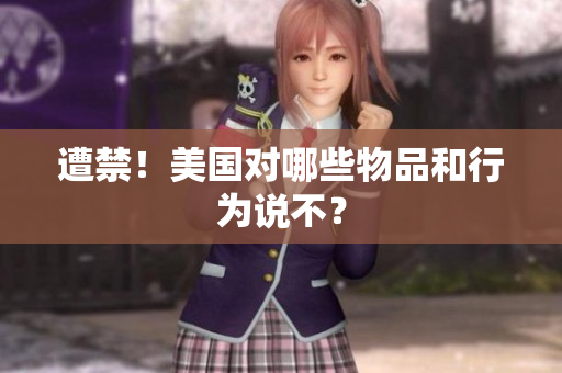 遭禁！美国对哪些物品和行为说不？