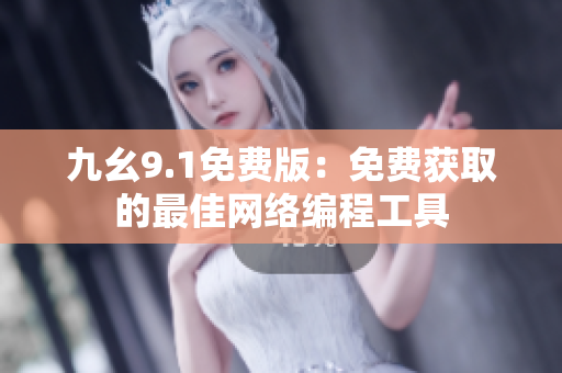 九幺9.1免费版：免费获取的最佳网络编程工具