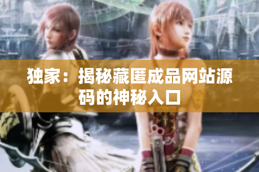 独家：揭秘藏匿成品网站源码的神秘入口