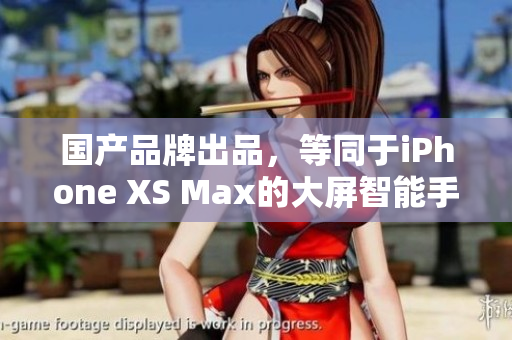 国产品牌出品，等同于iPhone XS Max的大屏智能手机