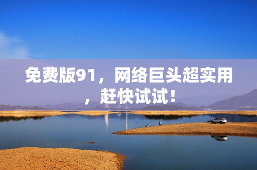 免费版91，网络巨头超实用，赶快试试！