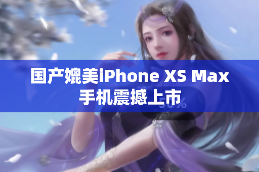 国产媲美iPhone XS Max手机震撼上市