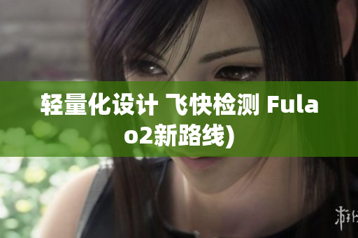 轻量化设计 飞快检测 Fulao2新路线)