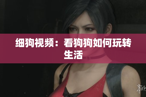 细狗视频：看狗狗如何玩转生活