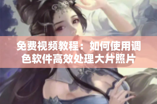 免费视频教程：如何使用调色软件高效处理大片照片
