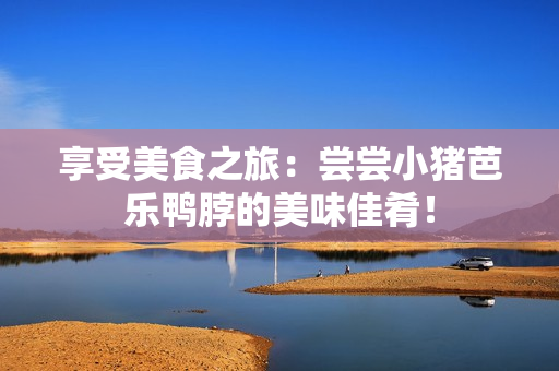 享受美食之旅：尝尝小猪芭乐鸭脖的美味佳肴！