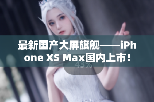 最新国产大屏旗舰——iPhone XS Max国内上市！