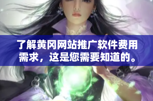 了解黄冈网站推广软件费用需求，这是您需要知道的。