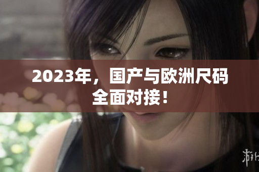 2023年，国产与欧洲尺码全面对接！