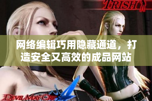 网络编辑巧用隐藏通道，打造安全又高效的成品网站