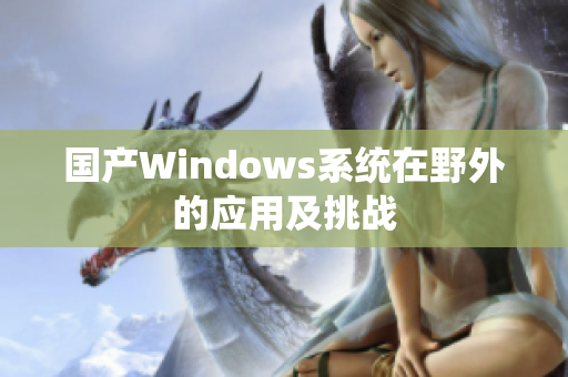 国产Windows系统在野外的应用及挑战