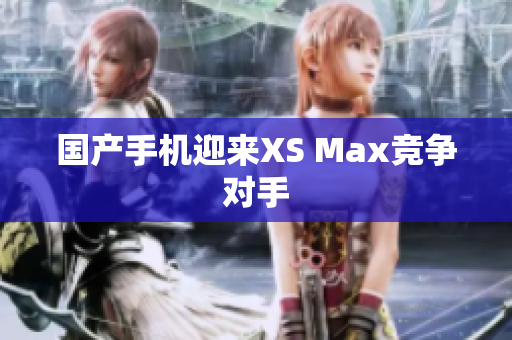 国产手机迎来XS Max竞争对手