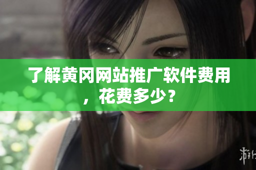 了解黄冈网站推广软件费用，花费多少？