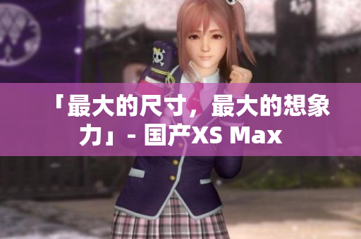 「最大的尺寸，最大的想象力」- 国产XS Max