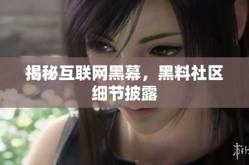 揭秘互联网黑幕，黑料社区细节披露