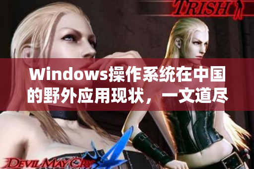 Windows操作系统在中国的野外应用现状，一文道尽