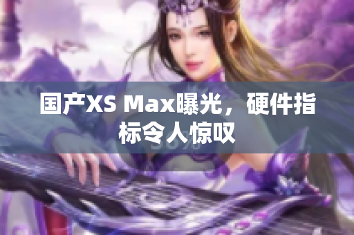 国产XS Max曝光，硬件指标令人惊叹
