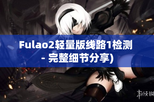 Fulao2轻量版线路1检测 - 完整细节分享)