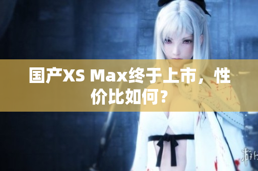 国产XS Max终于上市，性价比如何？