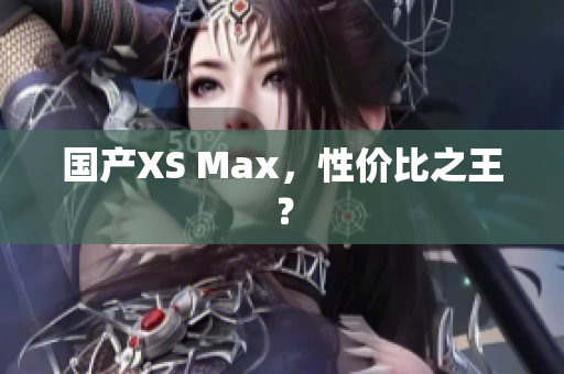 国产XS Max，性价比之王？
