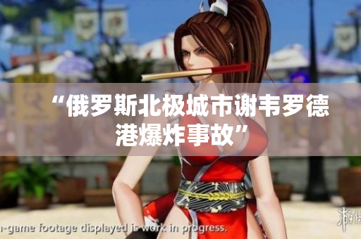 “俄罗斯北极城市谢韦罗德港爆炸事故”