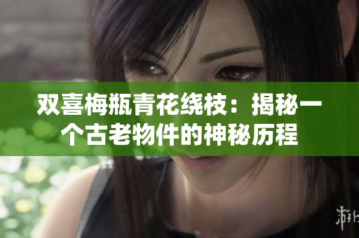 双喜梅瓶青花绕枝：揭秘一个古老物件的神秘历程