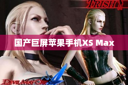 国产巨屏苹果手机XS Max