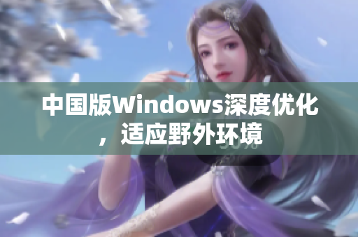 中国版Windows深度优化，适应野外环境