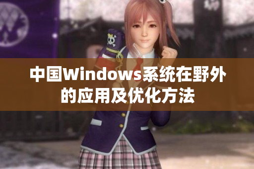 中国Windows系统在野外的应用及优化方法