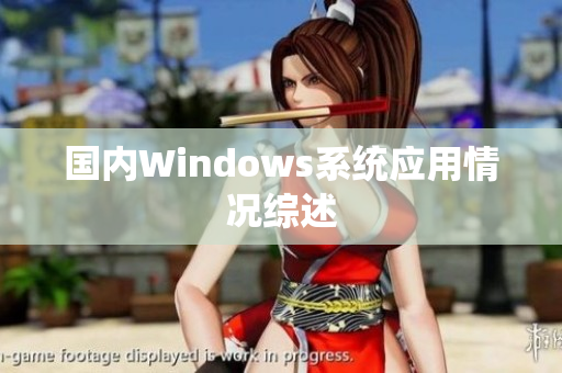 国内Windows系统应用情况综述