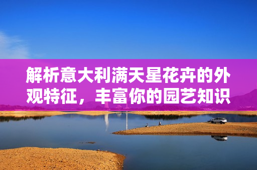 解析意大利满天星花卉的外观特征，丰富你的园艺知识