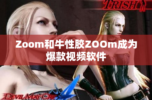 Zoom和牛性胶ZOOm成为爆款视频软件