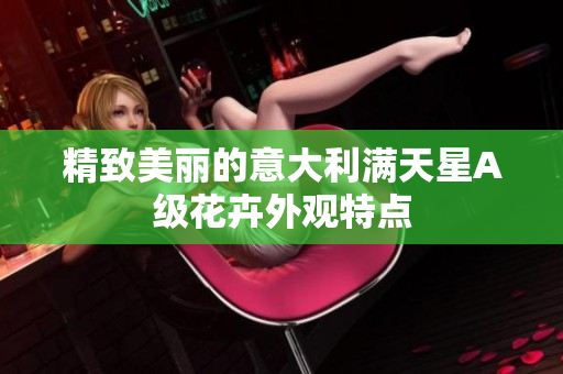 精致美丽的意大利满天星A级花卉外观特点