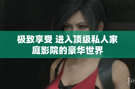 极致享受 进入顶级私人家庭影院的豪华世界