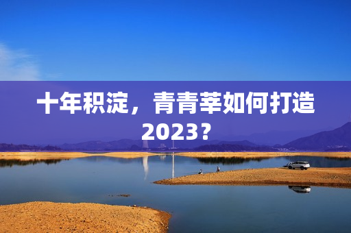 十年积淀，青青莘如何打造2023？
