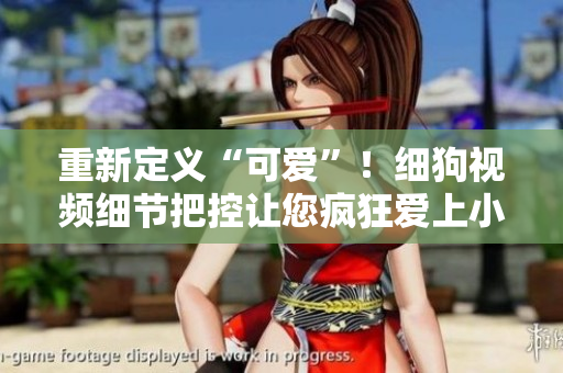 重新定义“可爱”！细狗视频细节把控让您疯狂爱上小狗狗！