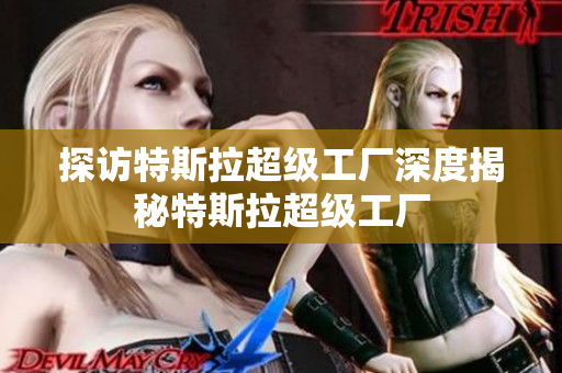 探访特斯拉超级工厂深度揭秘特斯拉超级工厂
