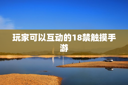 玩家可以互动的18禁触摸手游